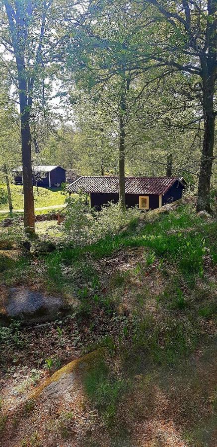 Kolleviks Camping Och Stugby Карлсхамн Экстерьер фото